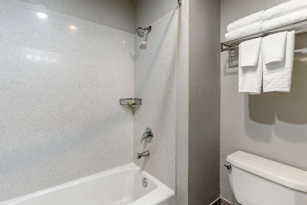 Best Western Plus Vineyard Inn - photo 45