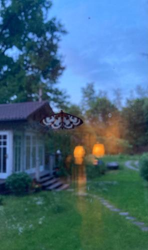 Niebieski Koń in Kazimierz Dolny, Poland