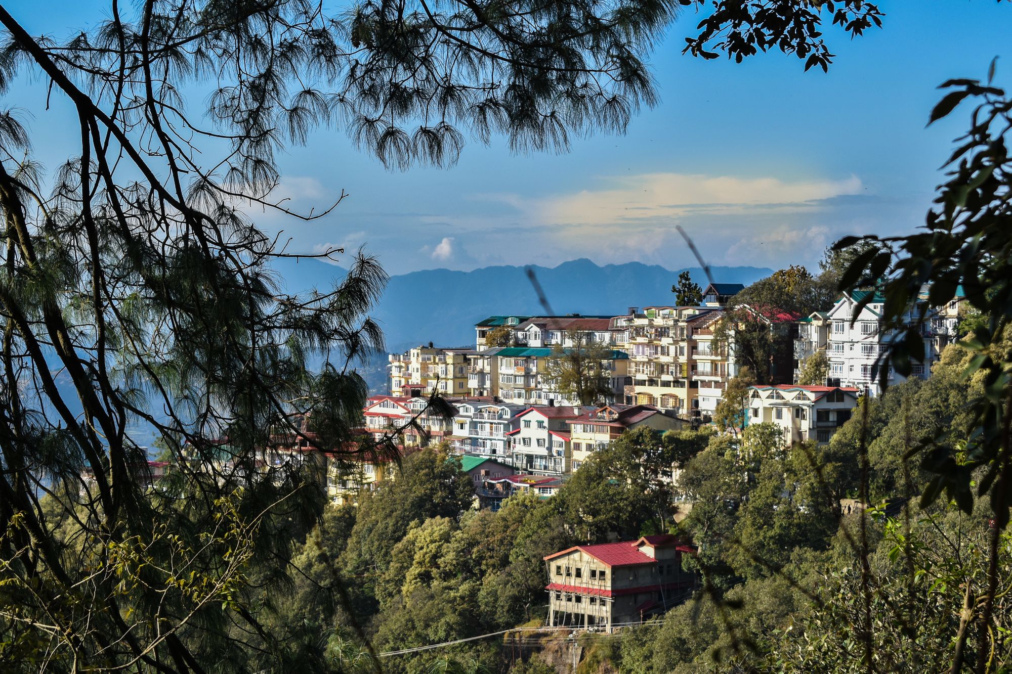 Dhanlakshmi B And B in Shimla, India