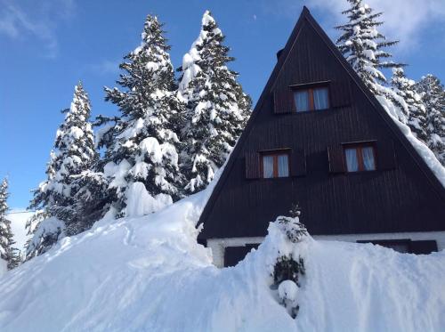 Baita Giggia sulle piste Cavalese in Trentino Alto Adige cottage chalet — 4-Star Luxury Hotel in Cavalese, Italy