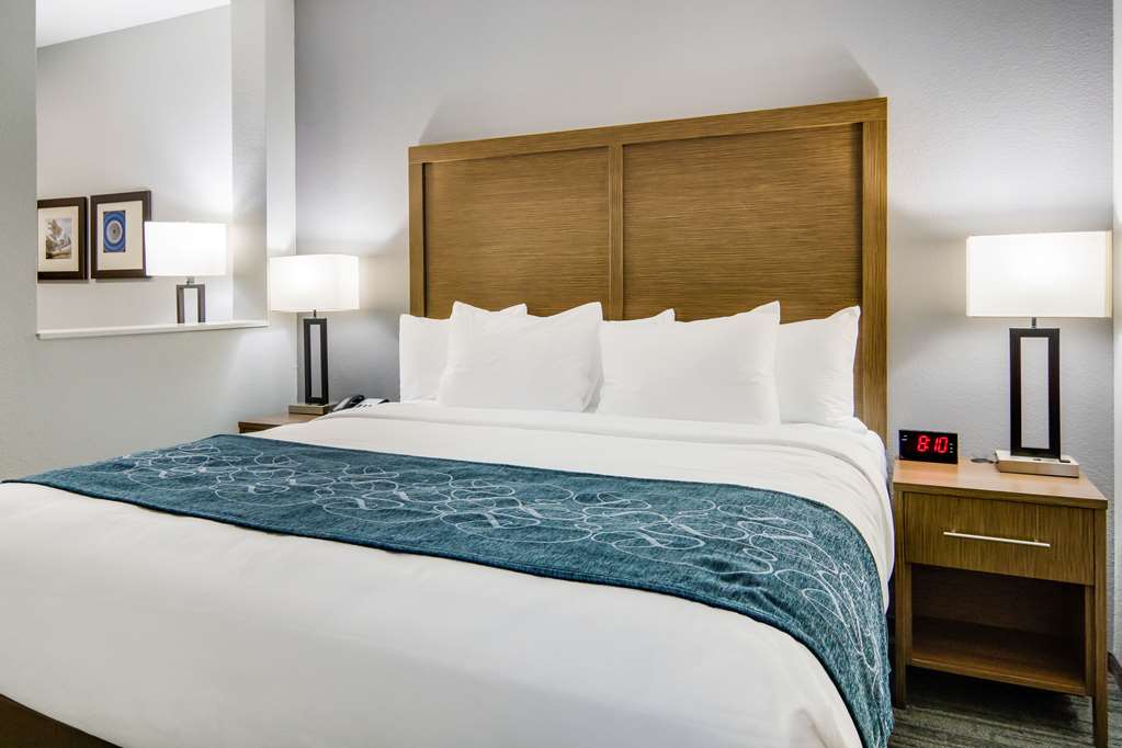Comfort Suites DeSoto Dallas South - photo 12