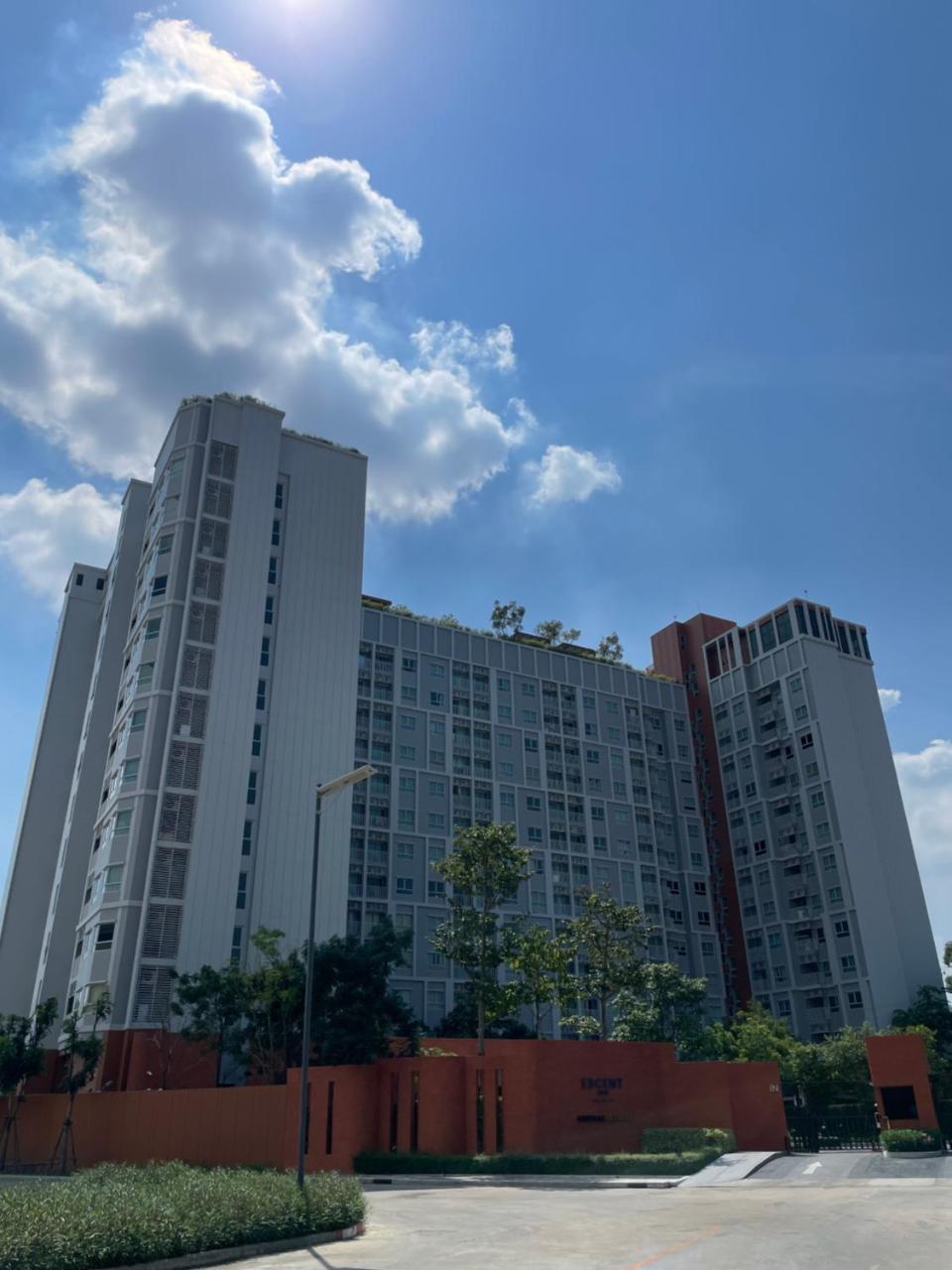 Sandy in Phra Nakhon Si Ayutthaya, Thailand