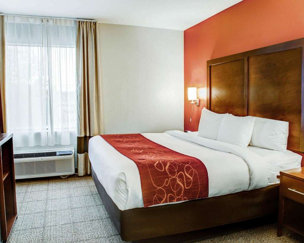 Comfort Suites Tyler South - photo 9