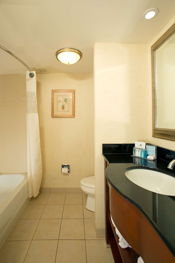 Hampton Inn Alexandria Pentagon South - photo 8