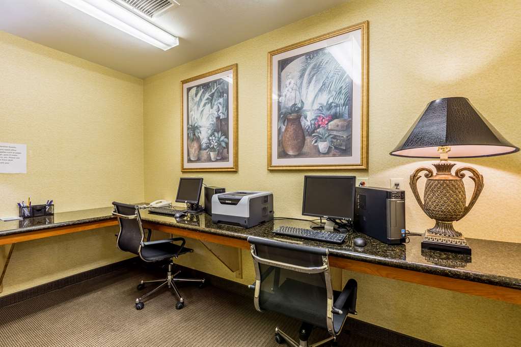 Sleep Inn & Suites Stafford Sugarland - photo 32
