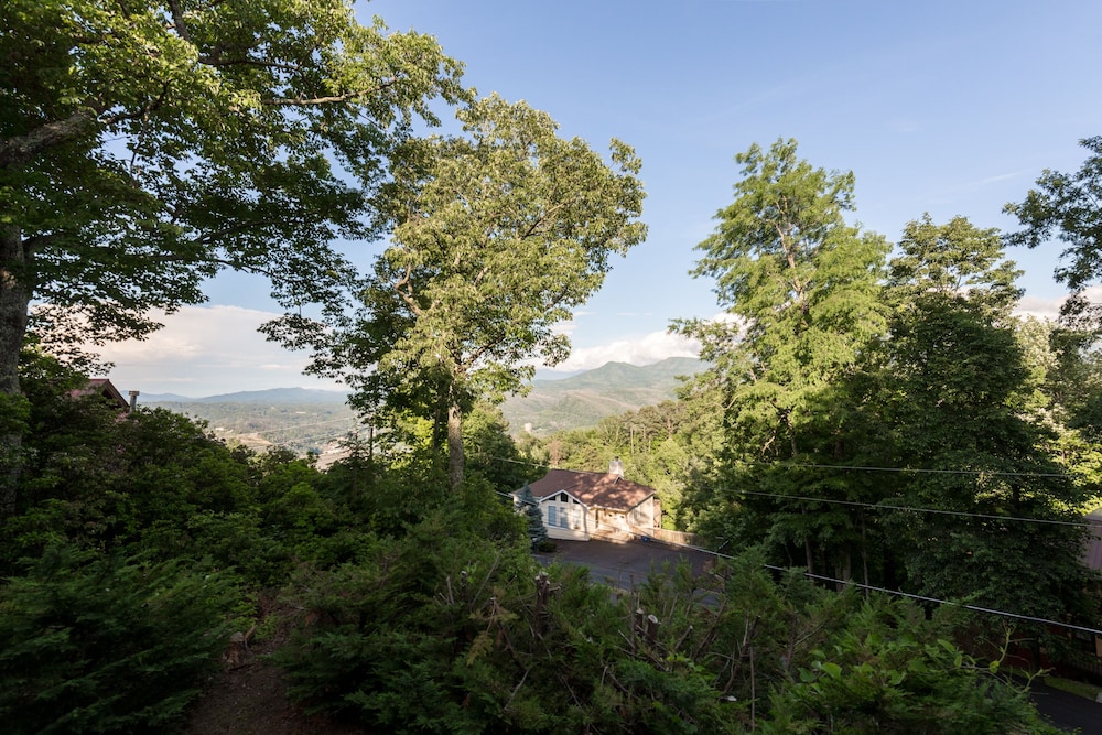 A Bears View - photo 24