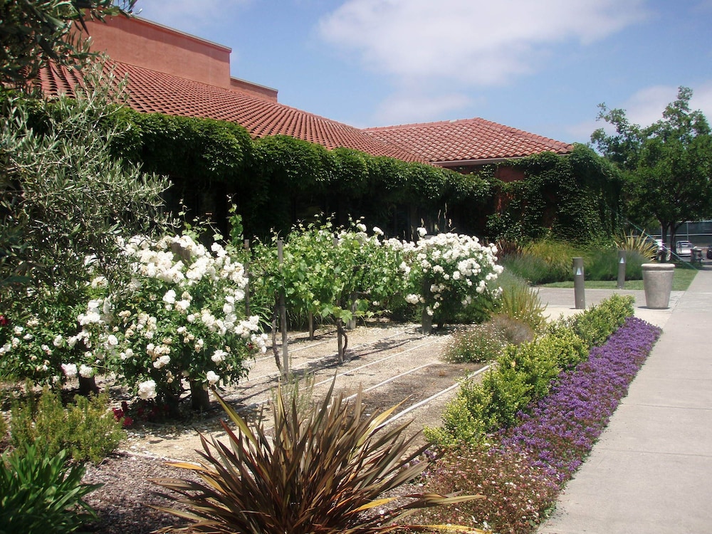 DoubleTree by Hilton Sonoma Wine Country - photo 91