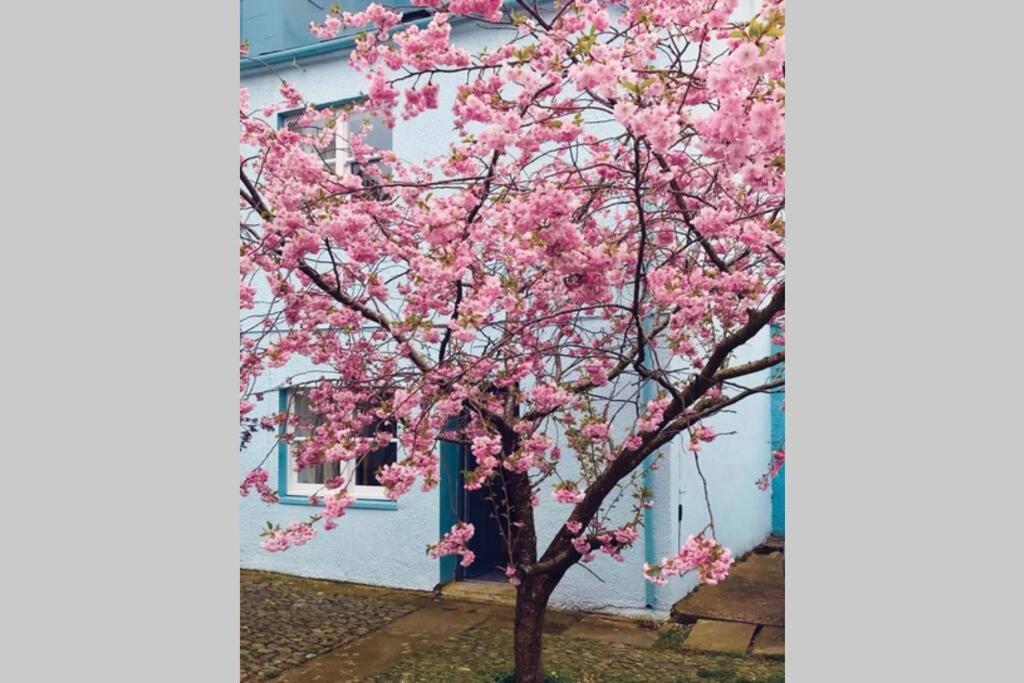 Albion Cottage — 4-Star Luxury Hotel in Cockermouth, United Kingdom