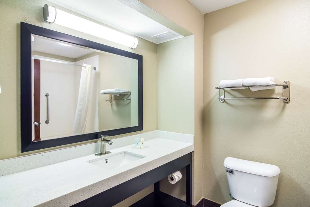 Quality Inn & Suites Canton GA - photo 16