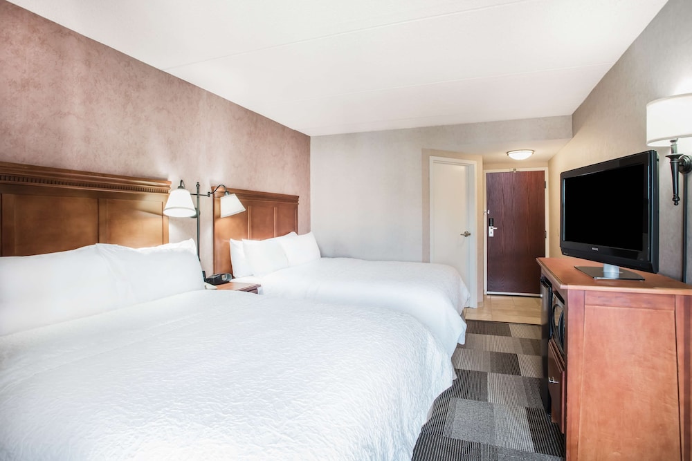 Hampton Inn West Springfield - photo 15