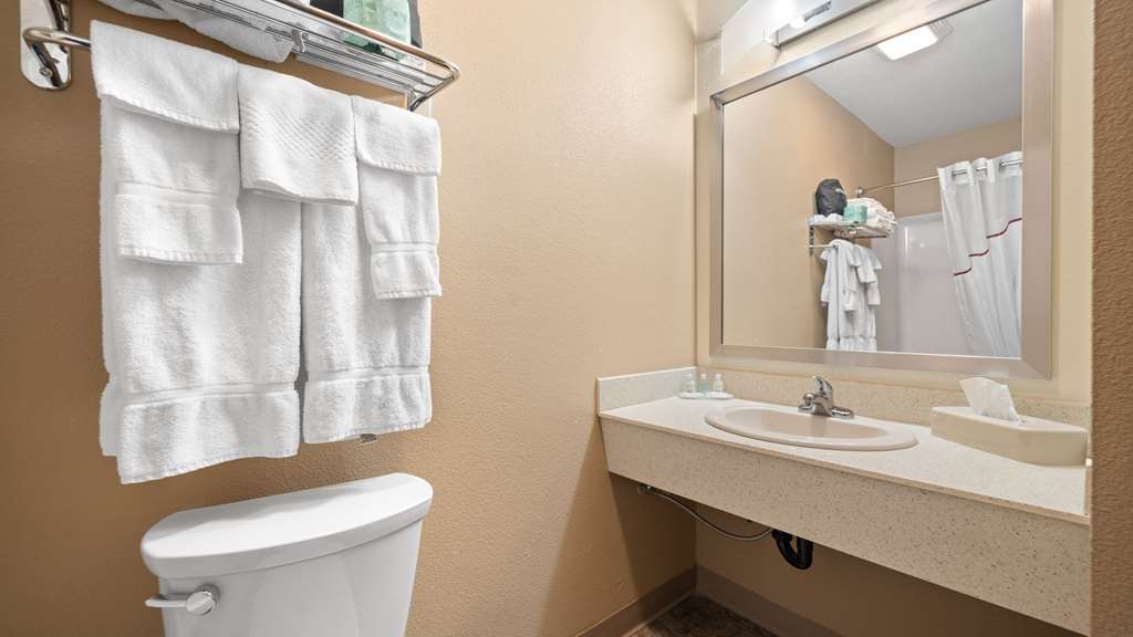 Clarion Hotel & Suites Fairbanks near Ft. Wainwright - photo 23