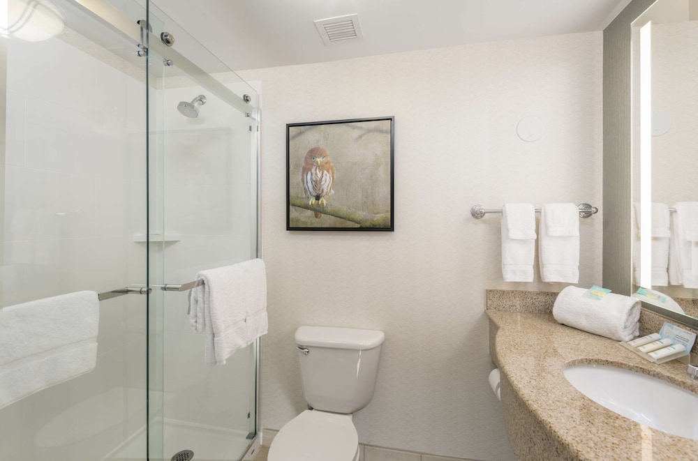 Hilton Garden Inn Scottsdale North Perimeter Center - photo 29