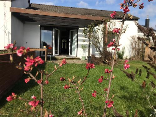 Ferienhaus Seeblick — Breitenbrunn — photo 5