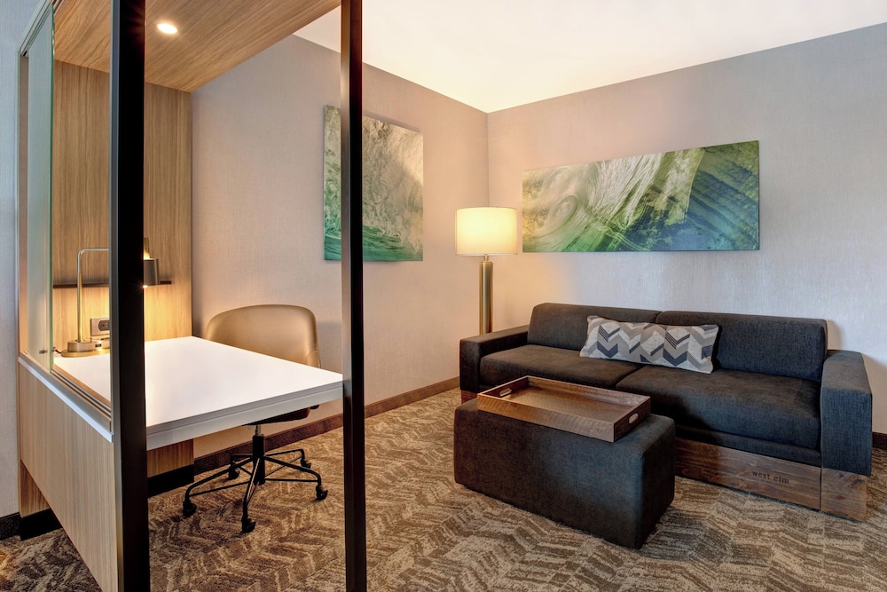 SpringHill Suites by Marriott Orangeburg - photo 17