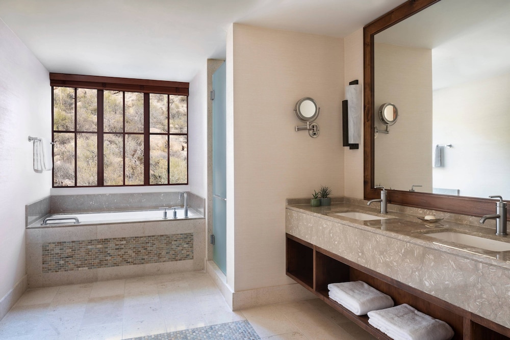 The Ritz Carlton Dove Mountain - photo 40