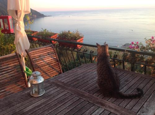 B&B Case Rosse — 4-Star Luxury Hotel in Camogli, Italy