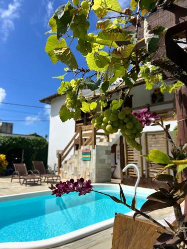 Pousada Zimbauê in Conceicao Da Barra, Brasil