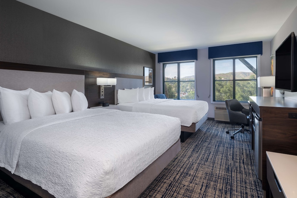 Hampton Inn & Suites Agoura Hills - photo 14