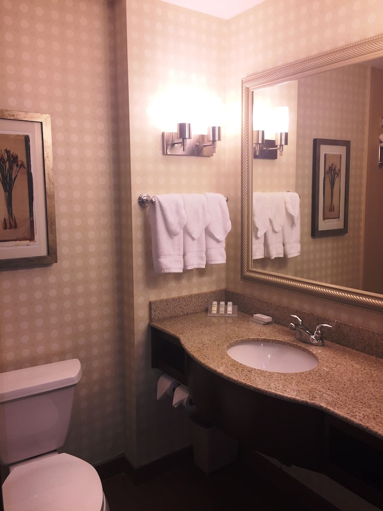 Hilton Garden Inn Houston West Katy - photo 33