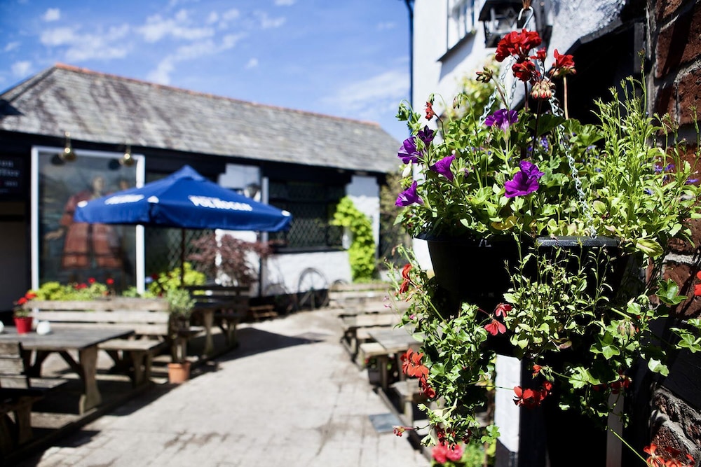 The Tree Inn in Bude, United Kingdom