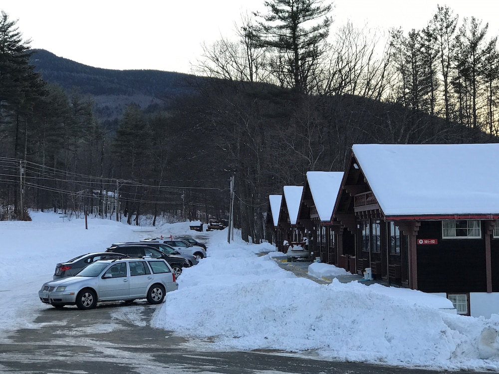 Swiss Chalets Village Inn - photo 83