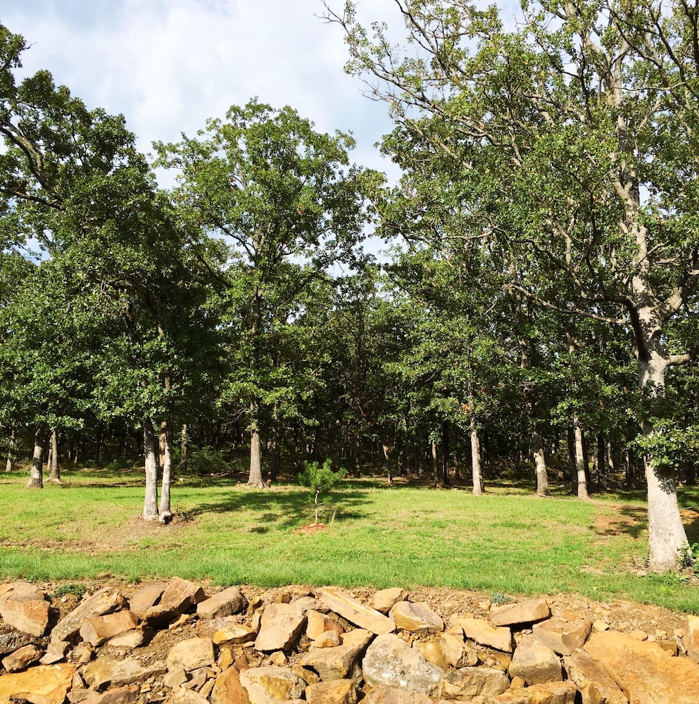 BarDew Valley Inn - photo 46