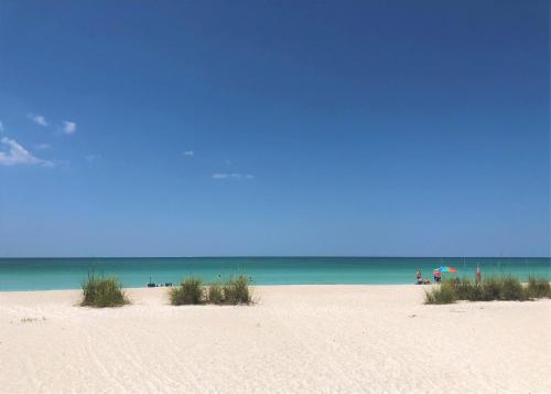 A Turtle Nest — Holmes Beach — photo 4