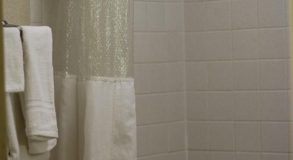 Palmetto Inn Florence - photo 5
