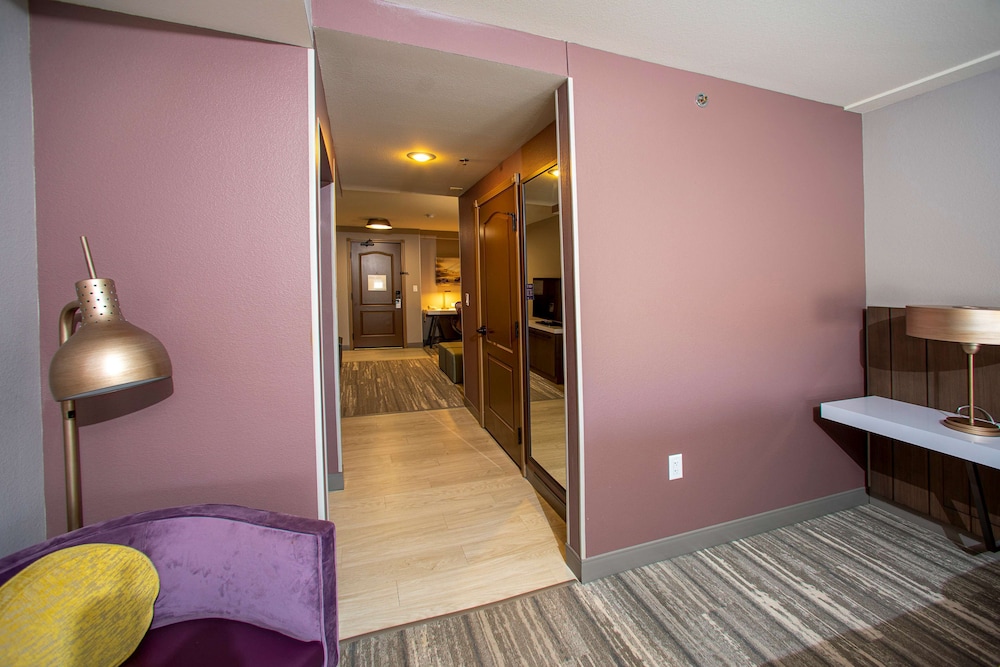 Hilton Garden Inn Rapid City - photo 12