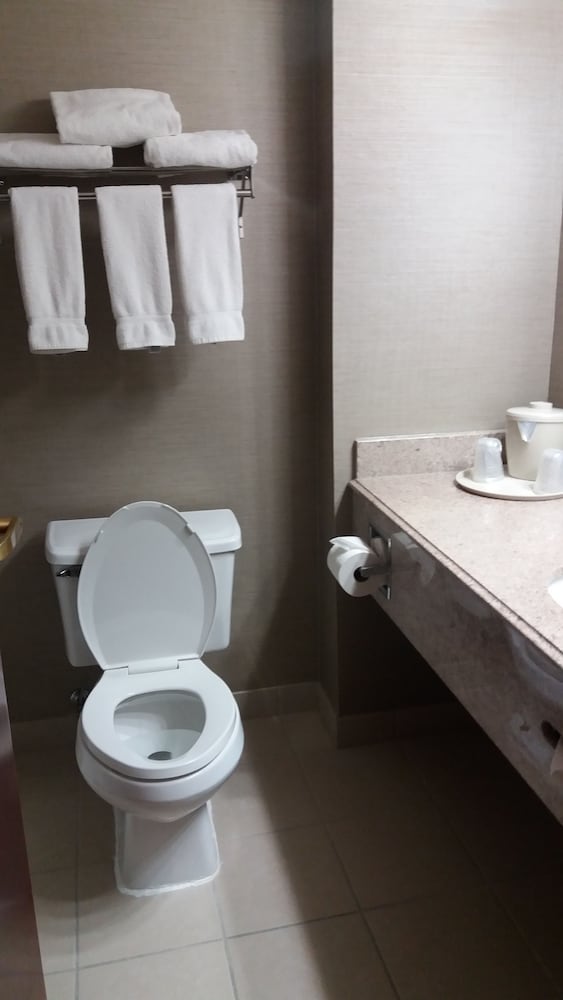 Holiday Inn Express Hotel & Suites Waterford by IHG - photo 58