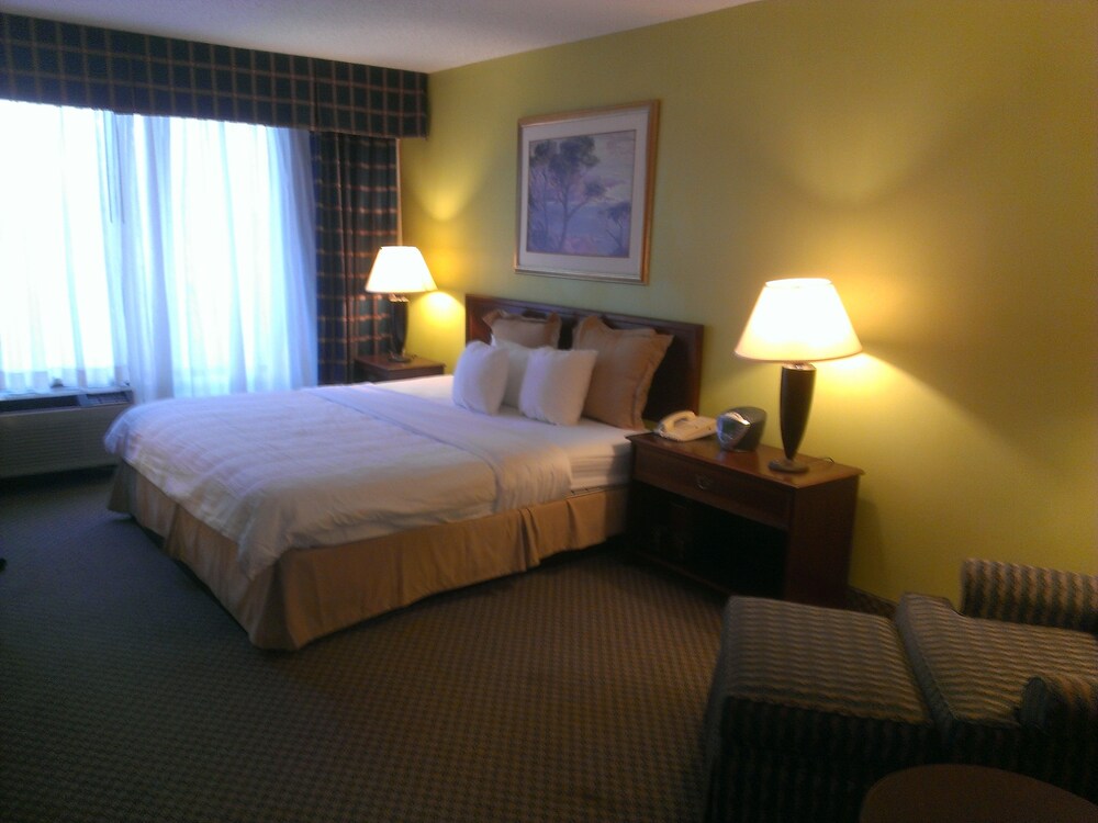 Speco Hotels Richmond - photo 7