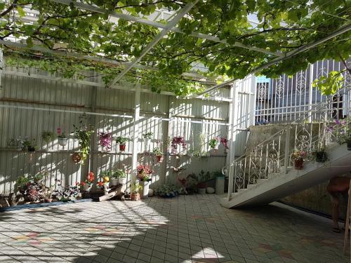 Adriatika Inn — hotel in Dzhubga