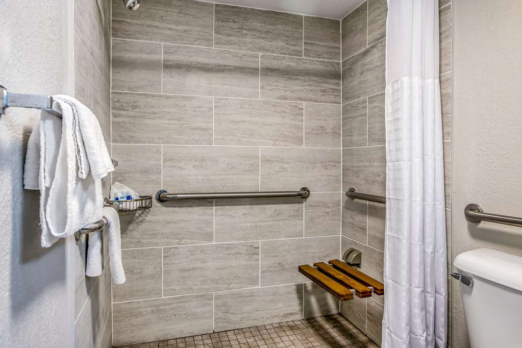 Clarion Pointe East Lansing University Area - photo 12