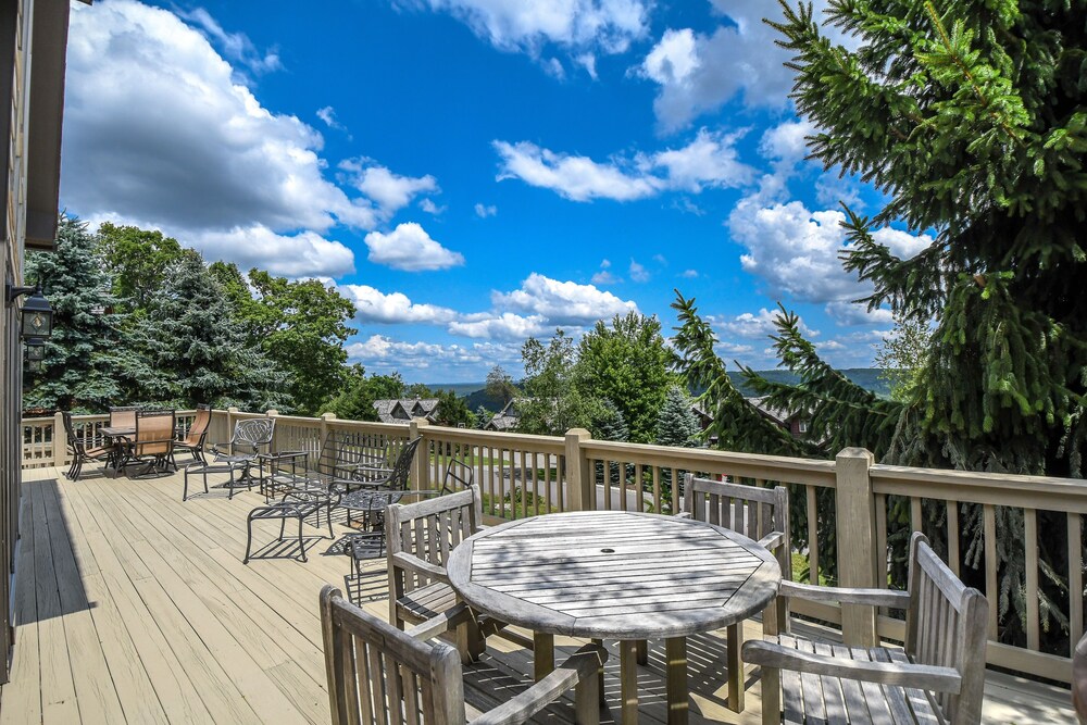 Bear's Eye View - photo 35