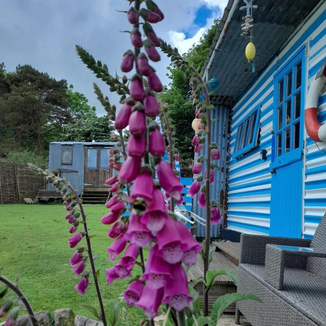 Treguth Glamping Unique Experience Themed Huts in Redruth, United Kingdom