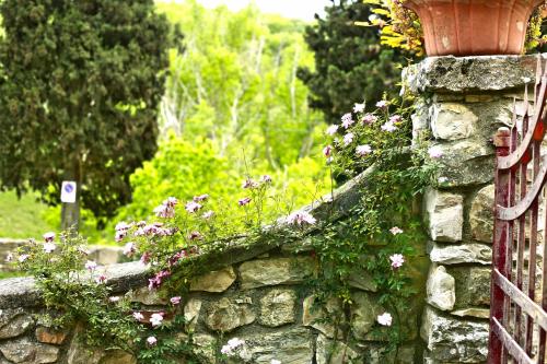 Le Tre Colombe — Bagno A Ripoli — photo 5