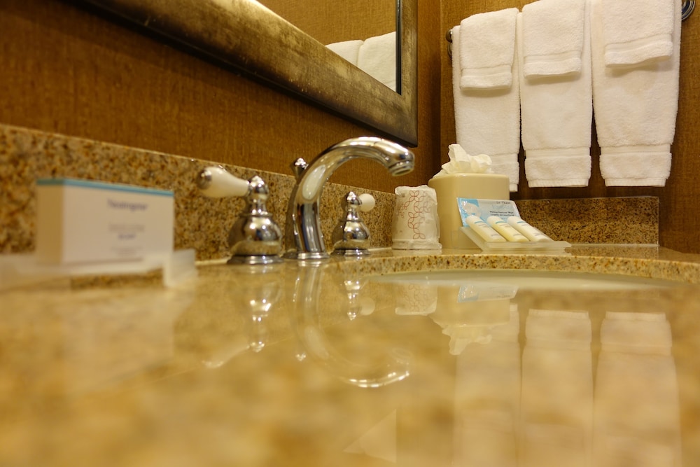 Hilton Garden Inn Houston Pearland - photo 25