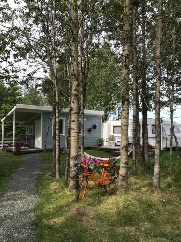 Baksas Luxury Campers in Selfoss, Iceland