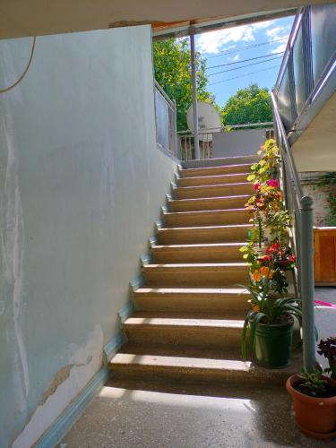 Guest House Shateau