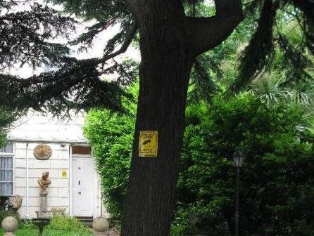 Cedar Lodge Hotel in Exeter, United Kingdom