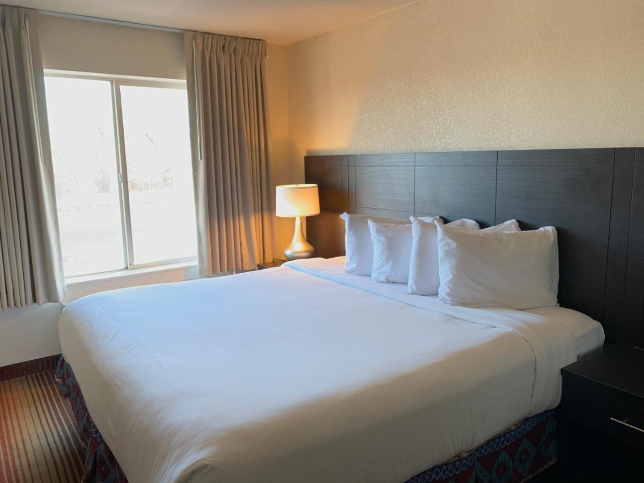 Red Lion Hotel La Junta - photo 12