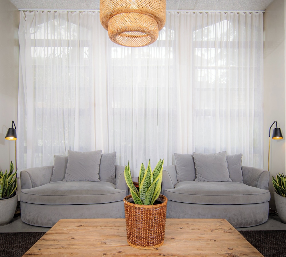 Ohia Waikiki Studio Suites - photo 3