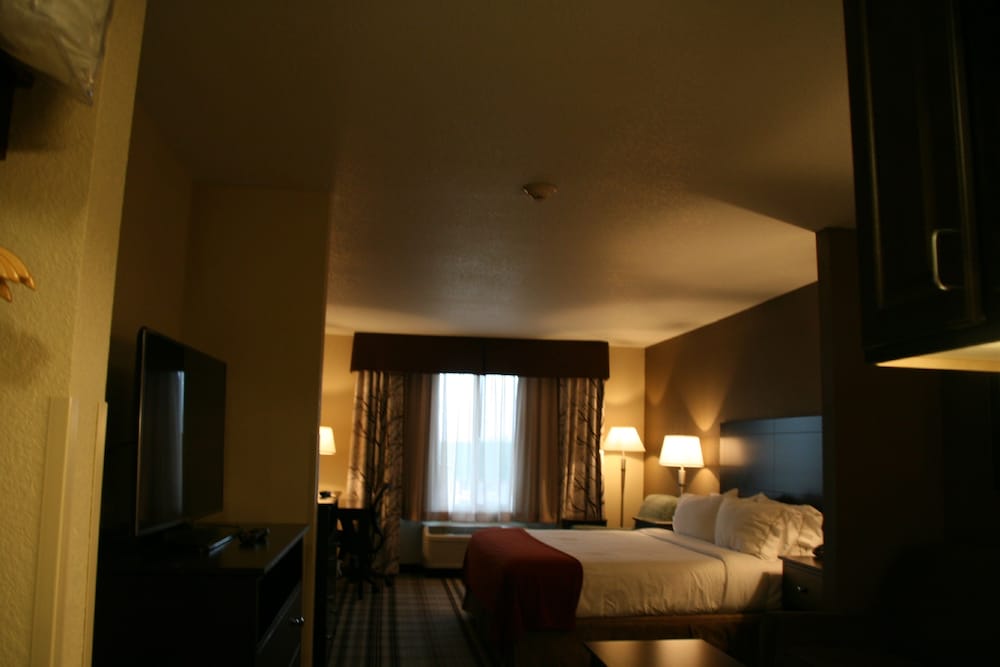 Holiday Inn Express & Suites Nevada by IHG - photo 8
