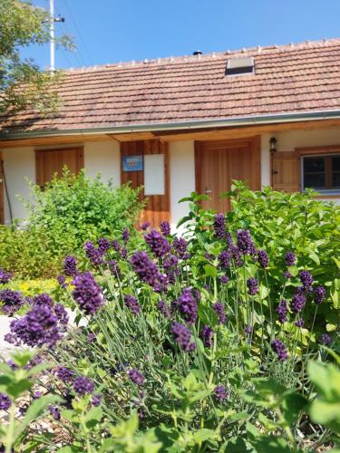 Dahuam am Weinberg - carbon neutral hotel in Unknown City