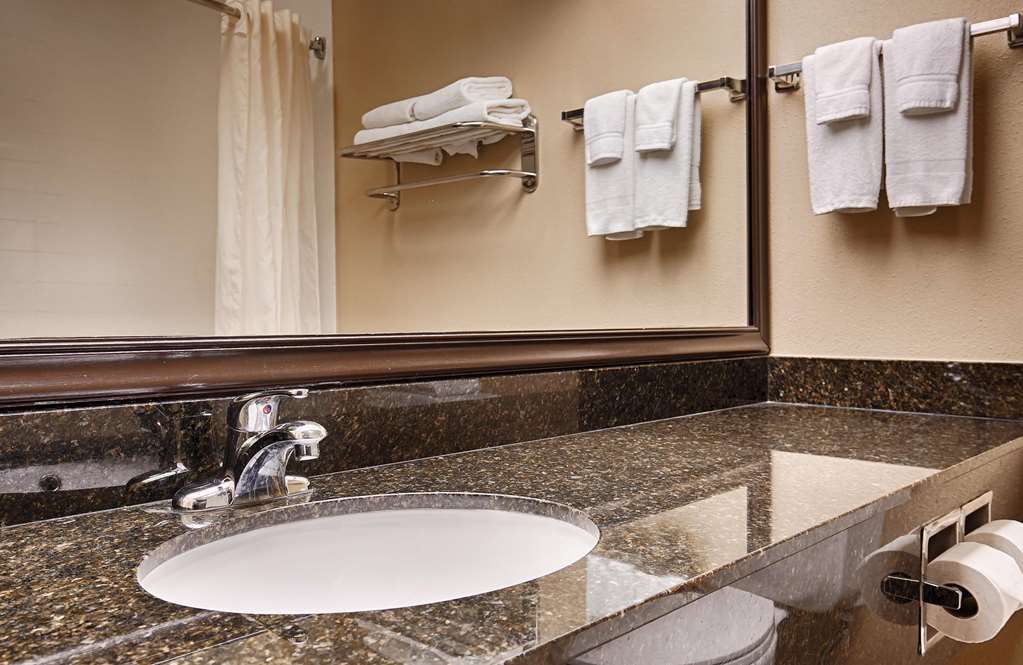 Best Western Plus Mishawaka Inn - photo 21