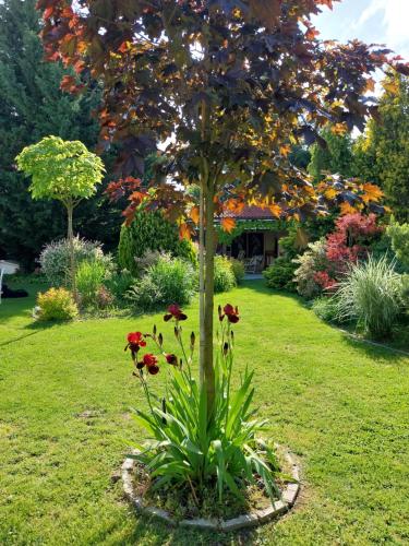 Cozy Rooms in Wine Town Modra in Modra, Slovakia