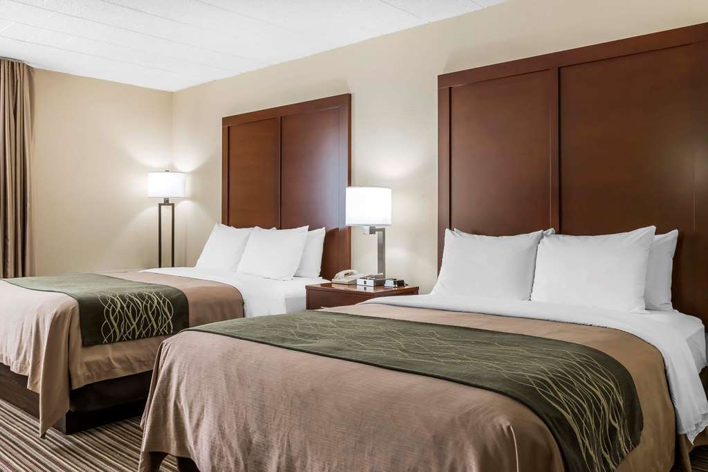 Comfort Inn Pocono Mountains - photo 9