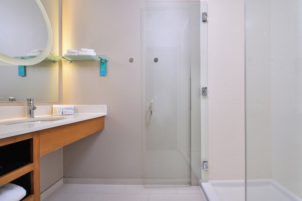SpringHill Suites by Marriott Ashburn Dulles North - photo 14