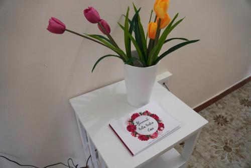 Il Posto per Te — Turi — photo 5