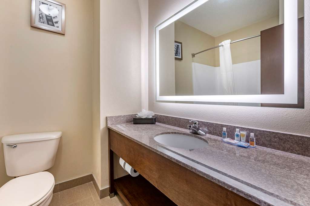 Comfort Inn & Suites Cincinnati Uptown Clifton - photo 14